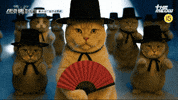 틴더스 GIF