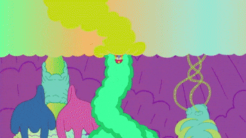 Digestive Tract