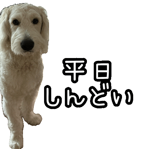 Dog 犬 Sticker