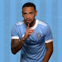 Major League Soccer Reaction GIF by NYCFC