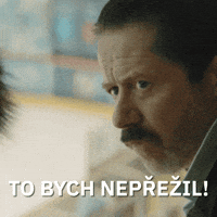 Hokej Lajna GIF by Seznam.cz