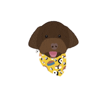 Dog Appa Sticker