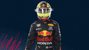 Red Bull Sport GIF by Red Bull Racing Honda