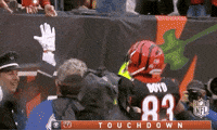 2018 Nfl Football GIF by NFL