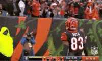 2018 Nfl Football GIF by NFL