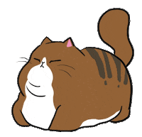 Cat Sleep Sticker