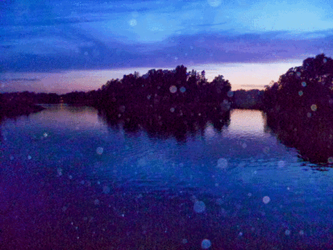 GIF by Canek