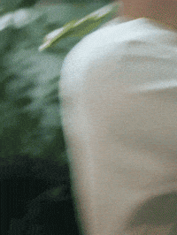 세븐틴 Jeonwonwoo GIF