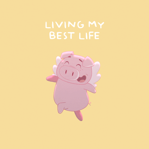 Happy Flying Pig GIF by PositivelyPigasus