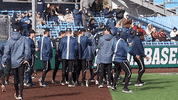 NevadaWolfPack baseball nevada wolf pack nevada wolf pack GIF