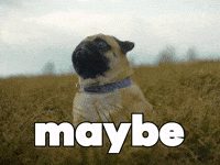Good Boy Awww GIF by Sealed With A GIF