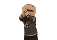 Celebrate Ice Hockey Sticker by NHL