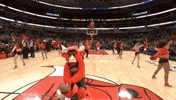benny the bull nba GIF by Chicago Bulls