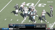 Carolina Panthers Football GIF by NFL