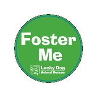 Ldar Sticker by Lucky Dog Animal Rescue