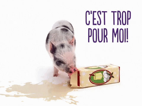 Hungry Animaux GIF by TELUS