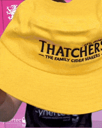 T20 Vitality Blast GIF by Somerset County Cricket Club