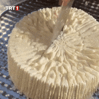Hungry Surprise GIF by TRT