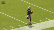 Nfl Touchdown GIF by New England Patriots