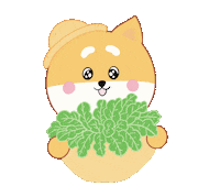 Diet Vegetables Sticker