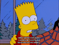 bart simpson GIF