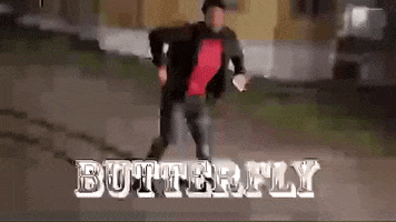 blancobrown dance butterfly blanco blanco brown GIF