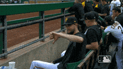 Major League Baseball No GIF by MLB