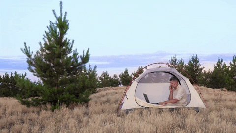 salescharm giphyupload GIF