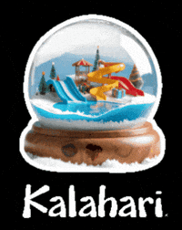 Christmas Snowglobe GIF by kalahariresorts