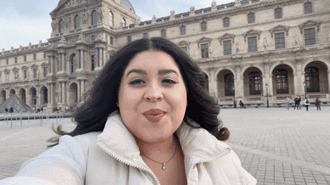 France Smile GIF