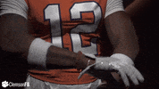 allin GIF by Clemson Tigers
