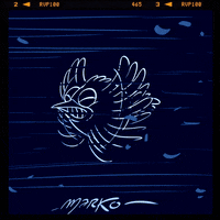 Night Bird GIF by marko
