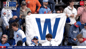 Chicago Cubs Baseball GIF