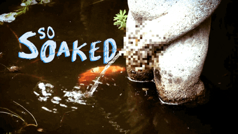 Music Video Bathroom GIF by Four Rest Films