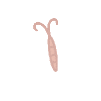 Pink Pastel Sticker