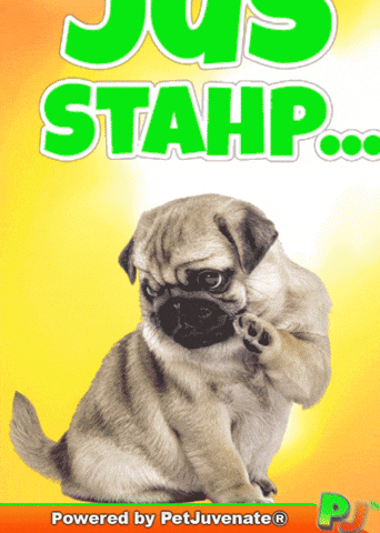 Dog Talk GIF by PetJuvenate - PJ