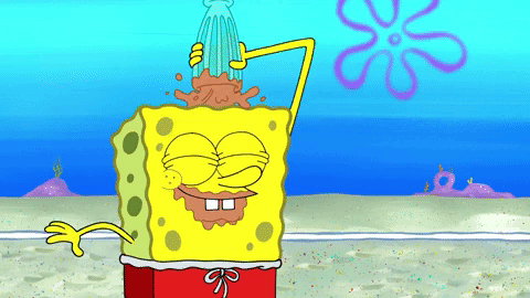 season 9 episode 3 GIF by SpongeBob SquarePants