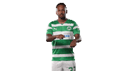Julian Green Football Sticker by SpVgg Greuther Fürth