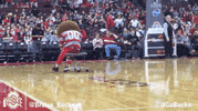 Ohio State Sport GIF by Ohio State Athletics