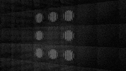 united states submission GIF by The Savannah .GIF Festival