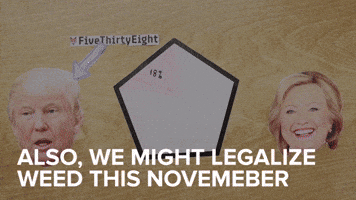 We Might Legalize Weed