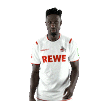 1 Fc Cologne Bundesliga Sticker by 1. FC Köln