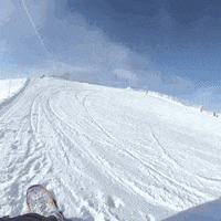 Hf Snowboarding GIF by Horsefeathers