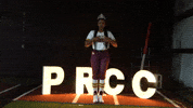 Softball Juco GIF by Pearl River Athletics