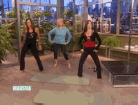 Martha Stewart Dancing GIF
