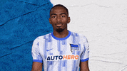 Bundesliga What GIF by Hertha BSC