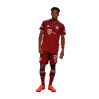 fcbayerncampus football soccer goal look Sticker