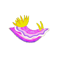 Sea Slug Sticker