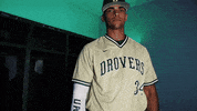 College Baseball GIF by USAO Drovers