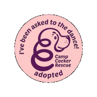 Campcocker2025 Sticker by Camp Cocker Rescue